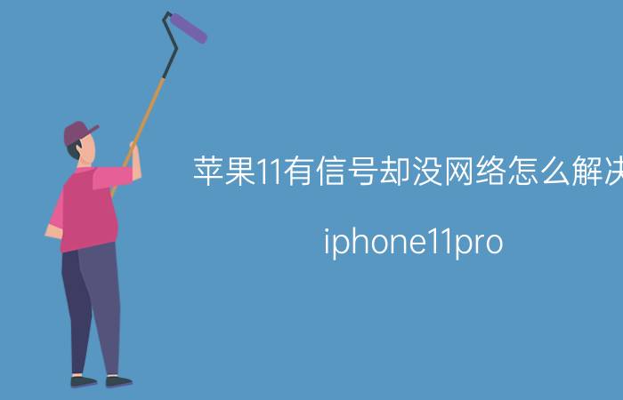 苹果11有信号却没网络怎么解决 iphone11pro?max信号差怎么办？